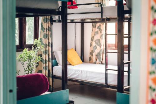 The Hostel Crawl