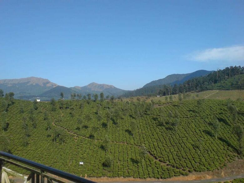 Hotel Maryland Homestay