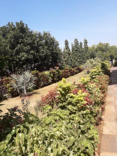 Rosa Dona 2 Serviced Apartment