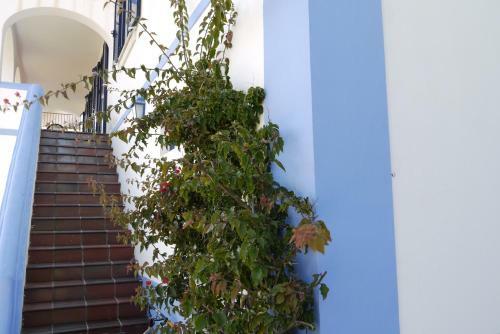 Casa Azul