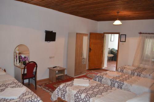 Hostal Erciyes Pension