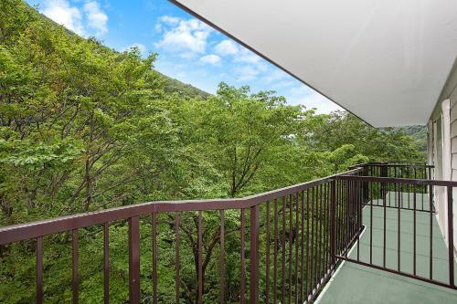Tenjin Lodge