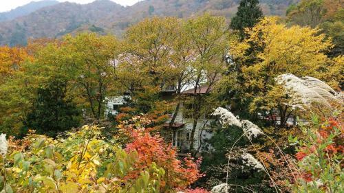 Tenjin Lodge