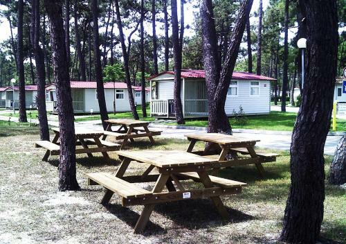 Parque De Campismo Orbitur Gala
