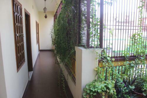 Homestay