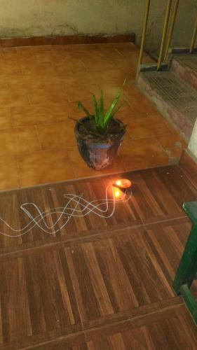 Apartamento Prakrutika