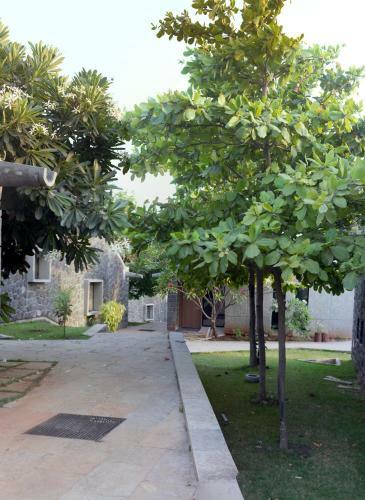 Hotel Nirvana Nature Cure