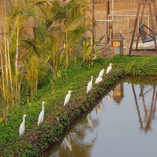 Bed & Breakfast Exotica Beach Retreats Diveagar