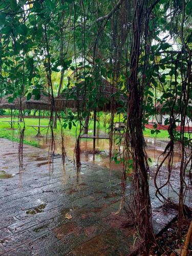 Bed & Breakfast Exotica Beach Retreats Diveagar