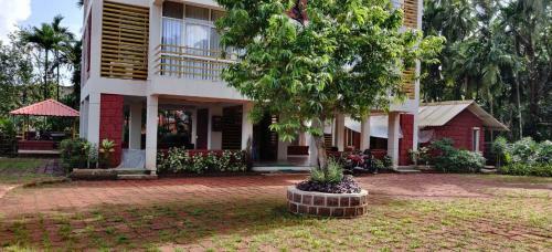 Hotel Oasis Resort