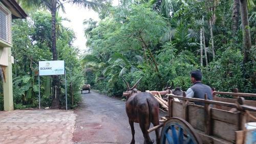 Hostal Oceanic