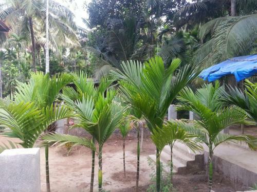 Hotel Tendulkar Beach Resort