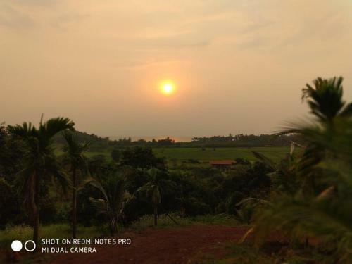 Hotel Grand Ambience Resort