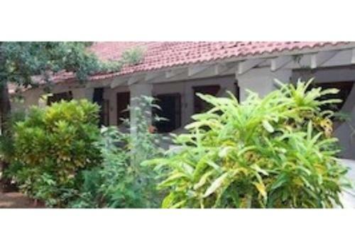 Hostal Joria Guest House