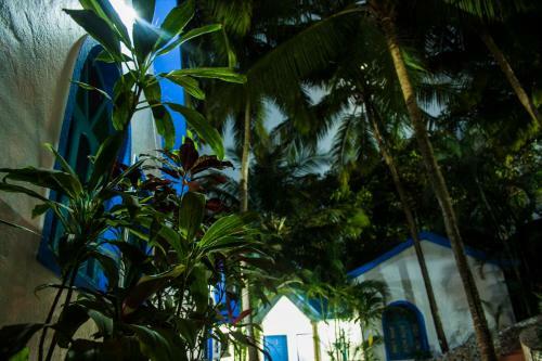 Hostal Tapasya Yoga And Resort