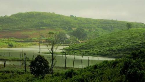 Hotel Greenvalley Tea House Vagamon
