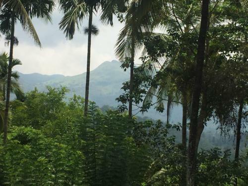 Hotel White Mushroom - Well Being Resort
