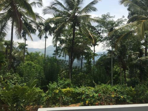 Hotel White Mushroom - Well Being Resort