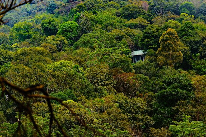 Hotel Wayanad Wild - Cgh Earth