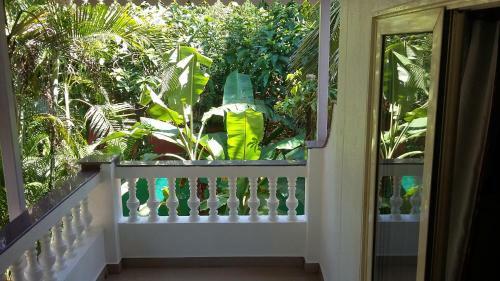 Bed & Breakfast Victoria Villa