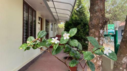 Hotel Masco Hill Resort