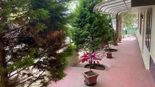 Hotel Masco Hill Resort