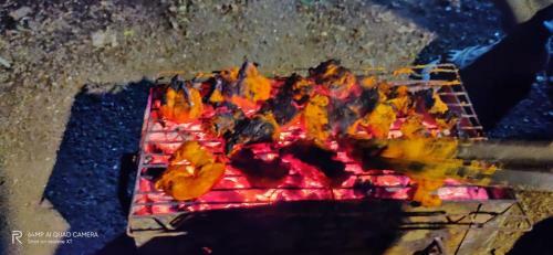 Bhandardara Camping - Axzone 9762674667