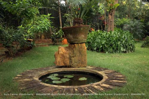 Hotel Auro Farms