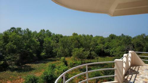 Hostal Lotus Garden Guest House