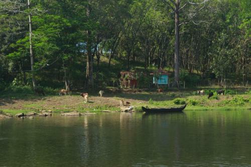 Hotel Mushroom Hut Resort