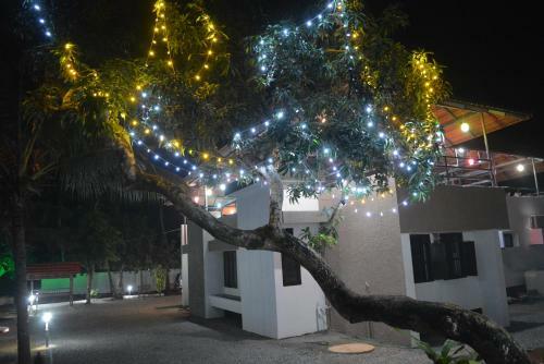 Bed & Breakfast Haya River View