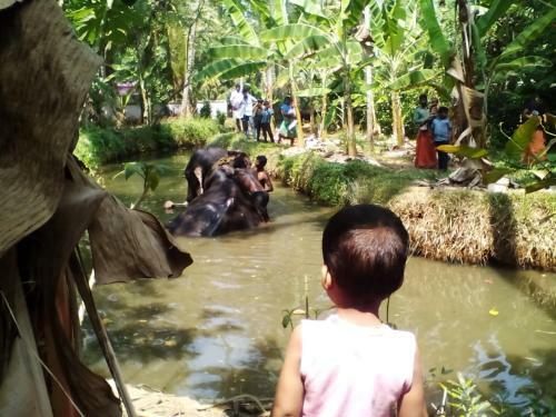 Bed & Breakfast Munroe Days Homestay