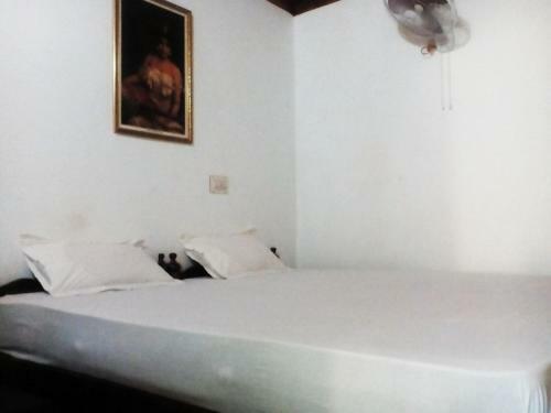 Bed & Breakfast Munroe Days Homestay