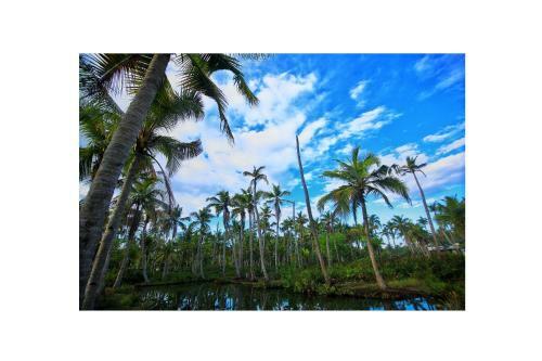 Munroe Paradise