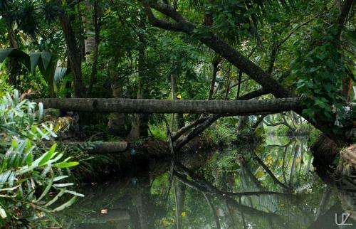 Munroe Meadows