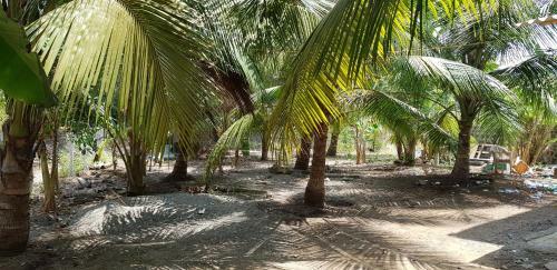 Hostal Sahyadri Beach Guest House