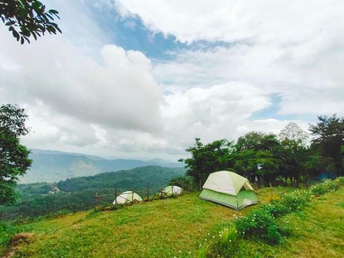 Birders Den Camps