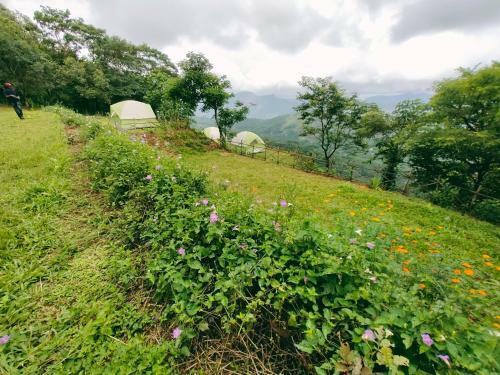 Birders Den Camps