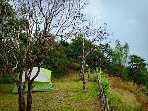 Birders Den Camps