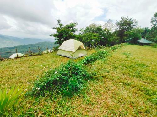 Birders Den Camps
