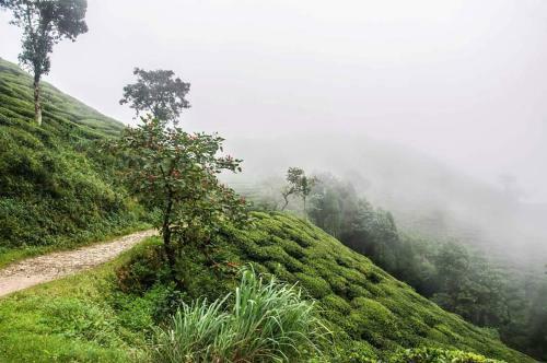 Agroturismo Vamoosetrail Mahal Diram