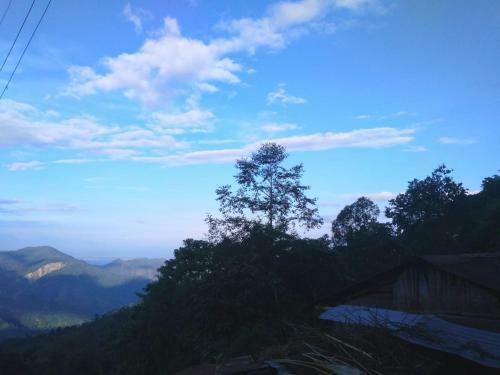 Goomtee Homestay