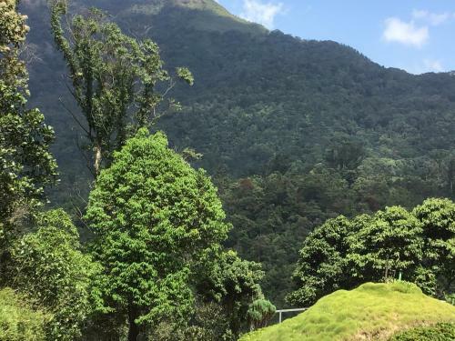 Hotel Wild Elephant Eco Friendly Resort