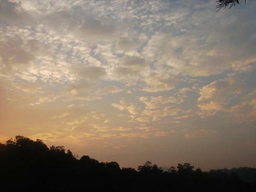 Hotel Wild Elephant Eco Friendly Resort