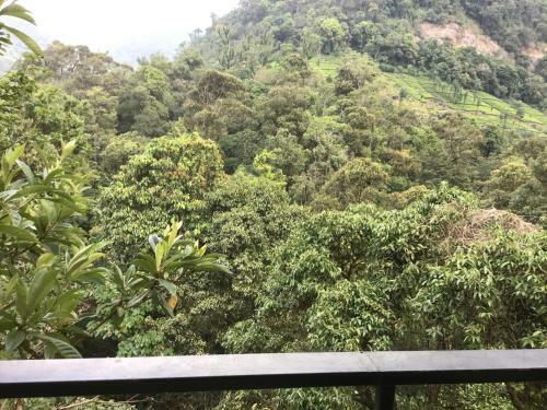 Hotel Wild Elephant Eco Friendly Resort