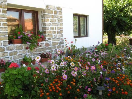 Hostal Elefterova Kashta