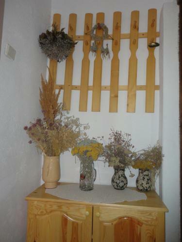 Hostal Guest House Astra