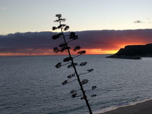 Apartamento Flat305sesimbra