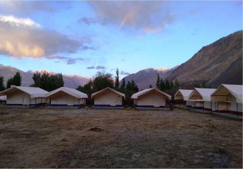 Tih Shyok Camp - Nubra