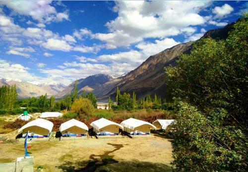 Tih Shyok Camp - Nubra